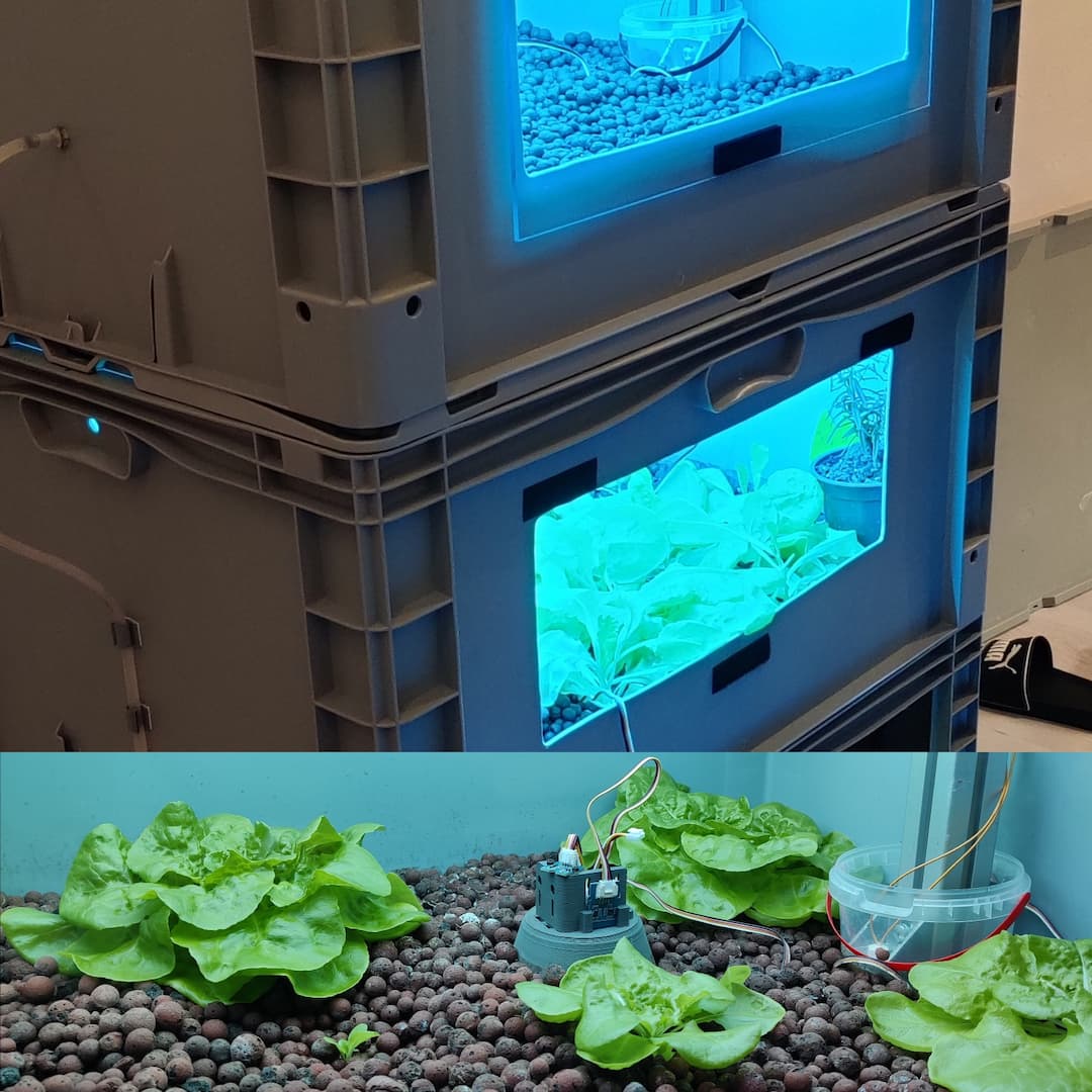 Vertical Farming