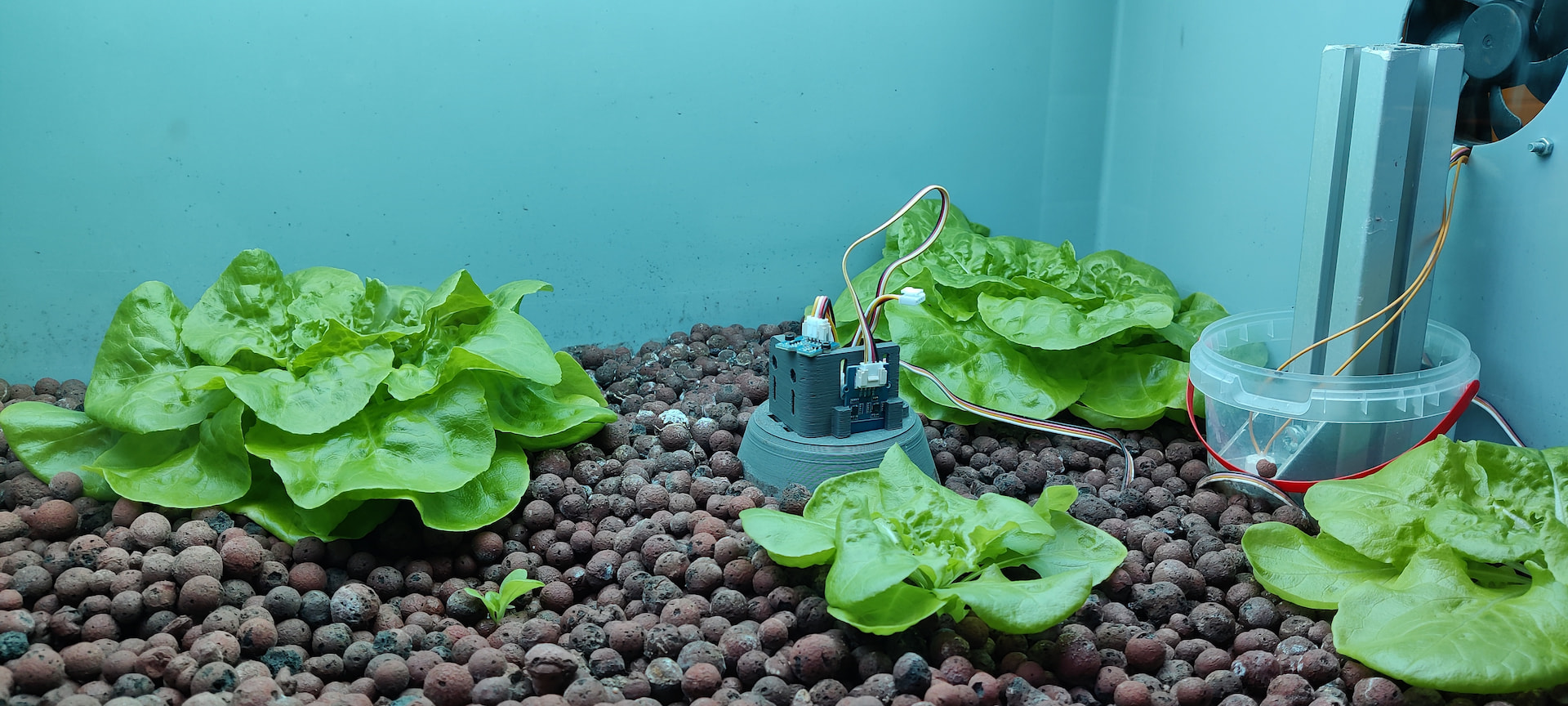 Vertical Farming - 2